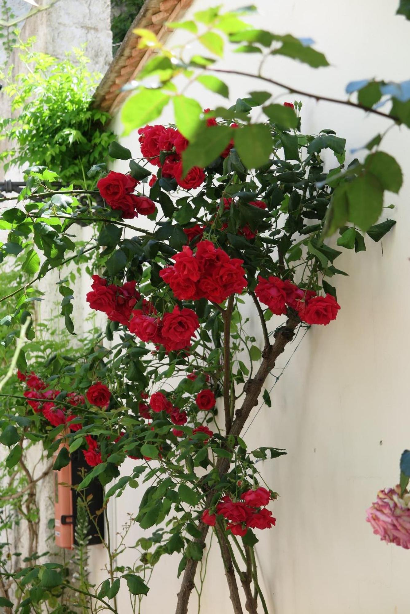 Apartamento Charming Albaicin Patio Flat Free Onsite Parking Granada Exterior foto